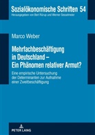 Marco Weber - Mehrfachbeschäftigung in Deutschland - Ein Phänomen relativer Armut?