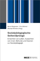 Bernd Birgmeier, Eric MÃ¼hrel, Eri Mührel, Eric Mührel, Michael Winkler - Sozialpädagogische SeitenSprünge