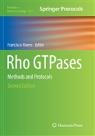 Francisc Rivero, Francisco Rivero - Rho GTPases