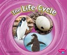 Jaclyn Jaycox - The Life Cycle