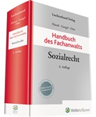 Detle Gurgel, Detlef Gurgel, Rupert Hassel, Sven-Joachim Otto - Handbuch des Fachanwalts Sozialrecht