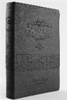 Tim LaHaye - Rvr 1960 Biblia de la Profecía - Negro Con Índice Imitación Piel / Prophecy Stud Y Bible Black Imitation Leather with Index