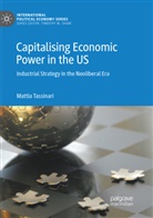 Mattia Tassinari - Capitalising Economic Power in the US