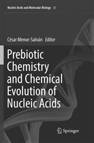 Césa Menor-Salván, César Menor-Salván - Prebiotic Chemistry and Chemical Evolution of Nucleic Acids