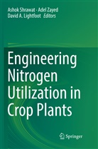 David A Lightfoot, David A. Lightfoot, Ashok Shrawat, Ade Zayed, Adel Zayed - Engineering Nitrogen Utilization in Crop Plants