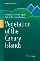 Marcelino del Arco Aguilar, Marcelino J del Arco Aguilar, Marcelino J. del Arco Aguilar, O Rodríguez Delgado, Octavio Rodríguez Delgado - Vegetation of the Canary Islands