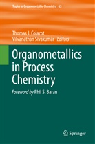 Thomas J. Colacot, Thoma J Colacot, Thomas J Colacot, Sivakumar, Sivakumar, Vilvanathan Sivakumar - Organometallics in Process Chemistry