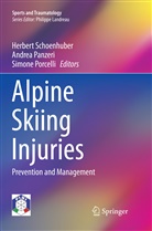Andre Panzeri, Andrea Panzeri, Simone Porcelli, Herbert Schoenhuber - Alpine Skiing Injuries