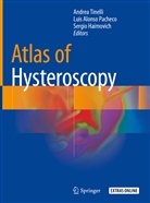 Lui Alonso Pacheco, Luis Alonso Pacheco, Sergio Haimovich, Andrea Tinelli - Atlas of Hysteroscopy