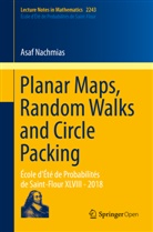 Asaf Nachmias - Planar Maps, Random Walks and Circle Packing