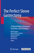 Almino Ramos Cardoso, Michel Gagner, David Nocca, Patrick Noel, Mariano Palermo, Mariano Palermo et al... - The Perfect Sleeve Gastrectomy