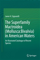 Javier H Signorelli, Javier H. Signorelli - The Superfamily Mactroidea (Mollusca:Bivalvia) in American Waters