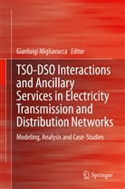 Gianluig Migliavacca, Gianluigi Migliavacca - TSO-DSO Interactions and Ancillary Services in Electricity Transmission and Distribution Networks