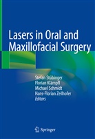 Floria Klämpfl, Florian Klämpfl, Michael Schmidt, Michael Schmidt et al, Stefan Stübinger, Hans-Florian Zeilhofer - Lasers in Oral and Maxillofacial Surgery