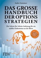 Andrei Anissimov - Das große Handbuch der Optionsstrategien