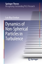 Luis Blay Esteban - Dynamics of Non-Spherical Particles in Turbulence