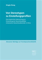 Ningjie Zhang - Von Stereotypen zu Einstellungsprofilen