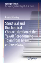 Bastian Bräuning - Structural and Biochemical Characterization of the YaxAB Pore-forming Toxin from Yersinia Enterocolitica