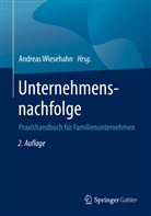 Andrea Wiesehahn, Andreas Wiesehahn - Unternehmensnachfolge