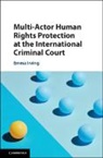 Emma Irving, Emma (Universiteit Leiden) Irving - Multi Actor Human Rights Protection At the International Criminal Cour