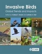Colleen T Downs, Colleen T Downs, Colleen T. Downs, Professor Colleen T (University of KwaZulu-Natal Downs, Professor Colleen T. (University of KwaZulu-Natal Downs, Professor Colleen T. (University of KwaZulu-Natal) Downs... - INVASIVE BIRDS