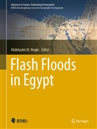 Abdelazi M Negm, Abdelazim M Negm, Abdelazim M. Negm - Flash Floods in Egypt