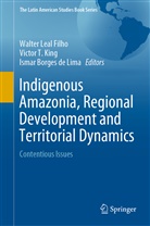 Ismar Borges de Lima, Victor T. King, Walter Leal Filho, Victo T King, Victor T King - Indigenous Amazonia, Regional Development and Territorial Dynamics