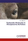 Ibrahim Mohammed - Pasteurella Multocida in Mesopotamia Buffaloes