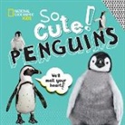 Crispin Boyer - So Cute: Penguins