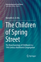 Meredith A B Ellis, Meredith A. B. Ellis - The Children of Spring Street