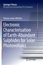 Thomas James Whittles - Electronic Characterisation of Earth-Abundant Sulphides for Solar Photovoltaics