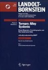 MSIT Materials Science International Team - Selected Semiconductor Systems