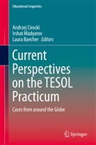 Laura Baecher, Andrzej Cirocki, Irsha Madyarov, Irshat Madyarov - Current Perspectives on the TESOL Practicum