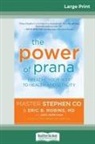 Stephen Co - The Power of Prana