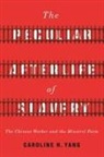 Caroline H Yang, Caroline H. Yang - Peculiar Afterlife of Slavery
