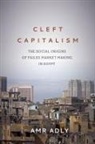 Amr Adly - Cleft Capitalism