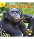 Jackson, Lisa Jackson - Chimpanzee
