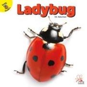Robertson, J Jean Robertson, R. E. Robertson - Ladybug