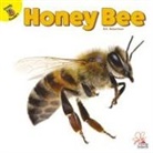 Robertson, J Jean Robertson, R E Robertson, R. E. Robertson - Honey Bee