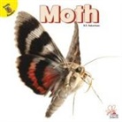 Robertson, J Jean Robertson, R. E. Robertson - Moth