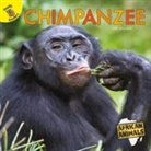 Jackson, Lisa Jackson - Chimpanzee