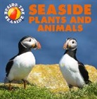 Clare Hibbert, Hibbert Clare - Beside the Seaside: Seaside Plants and Animals