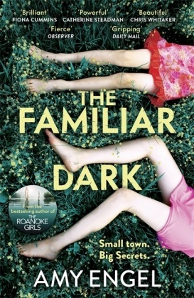 Amy Engel, Engel Amy - The Familiar Dark