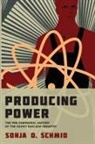 Sonja D. Schmid, Sonja D. (Assistant Professor Schmid - Producing Power