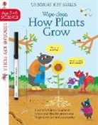 Anna Suessbauer, Hannah Watson, Hannah (EDITOR) Watson, Hannah (Editor) Watson Watson, Watson/suessbauer, Anna Suessbauer - Wipe-Clean How Plants Grow 5-6