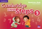 Lorena Peimbert, Peimbert Lorena - Cambridge Little Steps Level 3 Numeracy Book