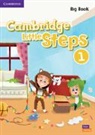 Cambridge Little Steps Level 1 Big Book
