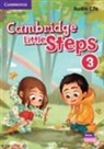 Cambridge Little Steps Level 3 Audio Cds American English (Audio book)