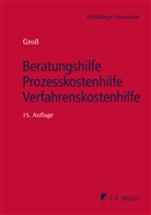 Ingo Michael Groß - Beratungshilfe - Prozesskostenhilfe - Verfahrenskostenhilfe, Kommentar