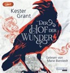 Kester Grant, Marie Bierstedt - Der Hof der Wunder, 2 Audio-CD, 2 MP3 (Audiolibro)